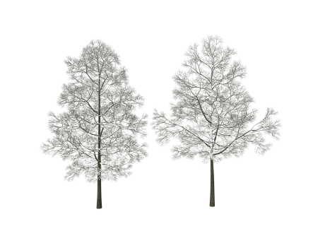 3D雪景树冬季树SU模型