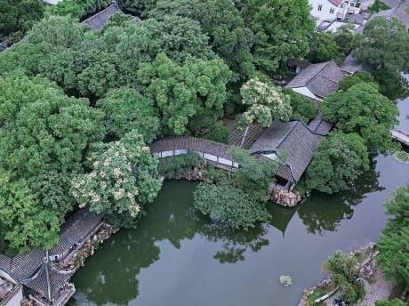 苏州古典园林沧浪亭景观(含CAD平面图)SU模型