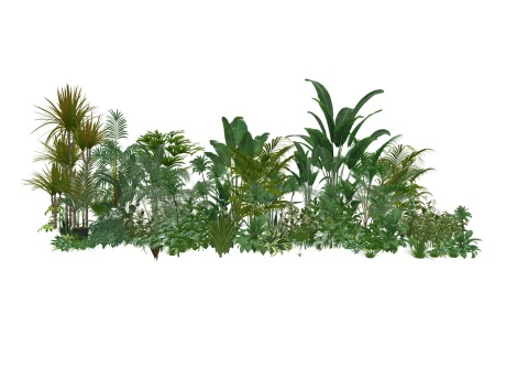 3D灌木花草SU模型