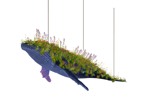 鲸鱼艺术装置SU模型