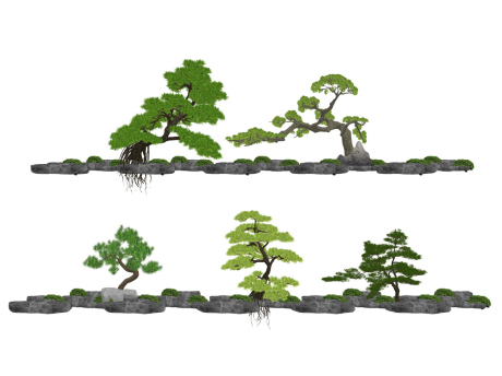 3D松树造型松迎客松SU模型