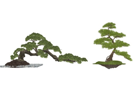 3D松树造型松迎客松SU模型