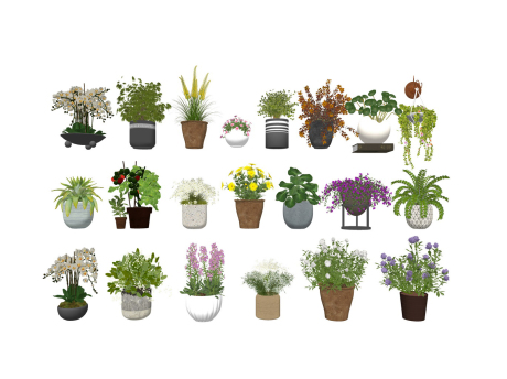 盆栽组合SU模型