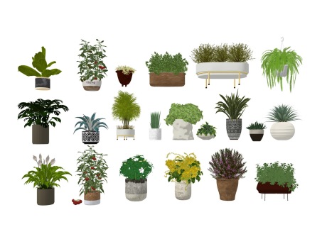 盆栽组合SU模型