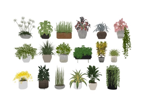 盆栽组合SU模型