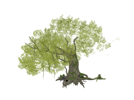 3D古树大树SU模型