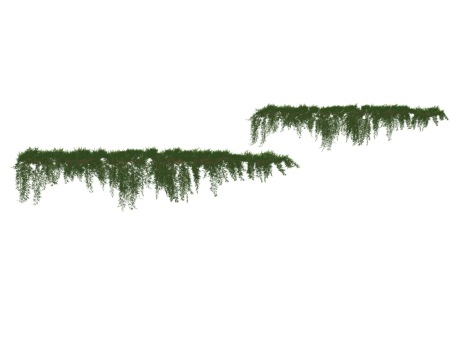3D藤蔓爬藤SU模型