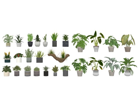 盆栽组合SU模型