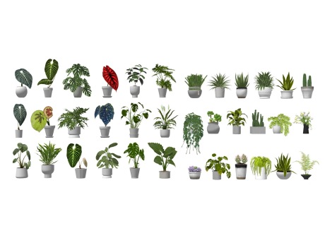 盆栽组合SU模型