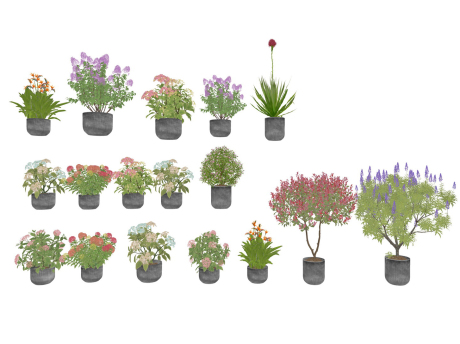 盆栽组合SU模型