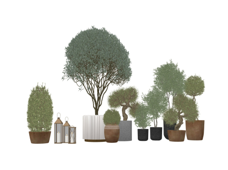 盆栽组合SU模型