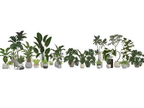 盆栽组合SU模型