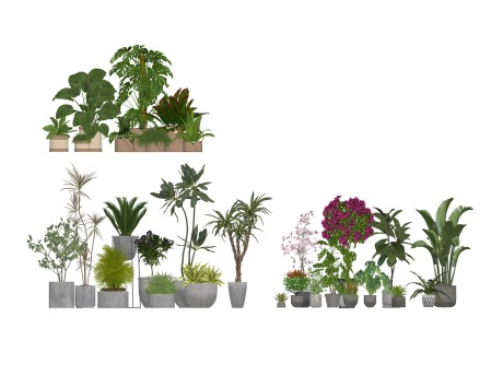 盆栽组合SU模型