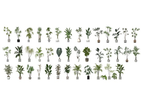 盆栽组合SU模型