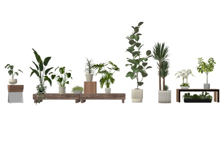 盆栽组合SU模型