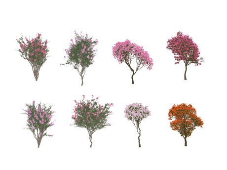 3D紫薇杜鹃SU模型