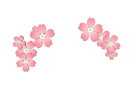 樱花花瓣SU模型