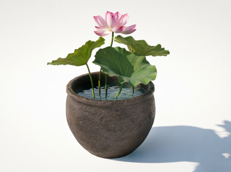 荷花池SU模型